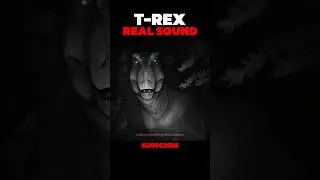 Real Sound of a T. Rex Dinosaur! (Terrifying Roar Revealed)