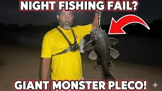 This Isn't a Prawn! Shocking Giant Fish Catch in Local River 🐠🐟 #fishing 