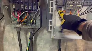 Sunlight Backup wiring review