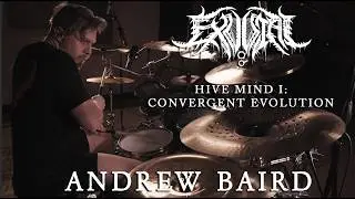 Andrew Baird - 