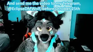 Paws Vs Maws Collaboration Entry Video