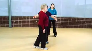 Prevent Senior Falls: Assessment & Balance Exercises