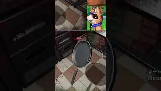 The PAN!!!!