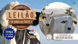 211&ordm; LEIL&Atilde;O UBERBOI LEIL&Otilde;ES - UBERL&Acirc;NDIA MG - 13/01/2026 - 17 Hrs