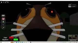 leon theme / desert war I bear's morphs