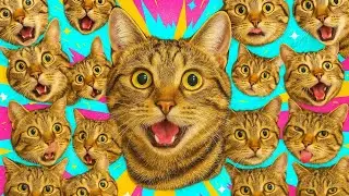 🐱 Funny Scottish Fold Cat Max Plays With His Owner | Cute Cat Moments Compilation 4K