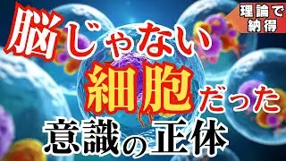 【衝撃】意識と現実をつなぐ鍵は『細胞』にあった【エネルギーコントロール】