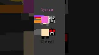 nyan cat & tac cat