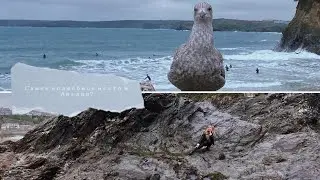 Влог: Жизнь в Англии - Cornwall, легенды, пирожки и серферы