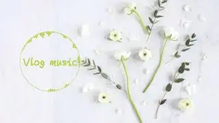 Food Vlog Music - No Copyright Music | Free to use Vlogging music