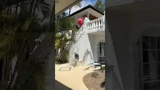 Mystery Prank! 🤔 #shorts #youtubeshorts #funnyvideo