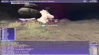 Umagrhk Fight - Meeble burrows - Final Fantasy 11