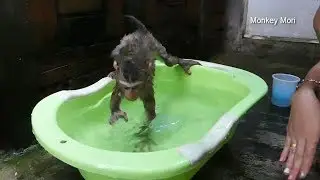 Wow!! Mom Training Mori Learn To Diving Warm Bath And Don't Scare Water