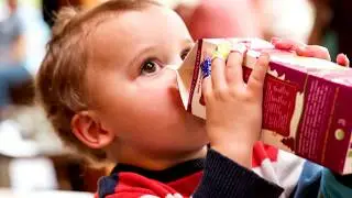 The Culture of Nancy's Yogurt - 2017
