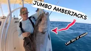 HUGE AMBERJACKS FOR LAST DAY OF THE SEASON in Steinhatchee Florida