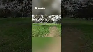 Epic Disc Golf Shots  Course Views & Gameplay Highlights! #discgolf #frisbeegolf #shorts #subscribe
