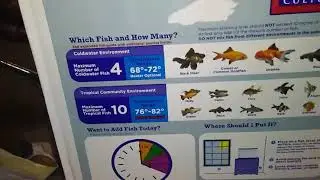 Jurassic Tank (Best aquarium kit in stores)