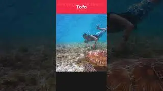 Tourist Destinations of Mozambique