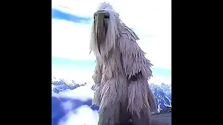 Luh calm fit opium bird