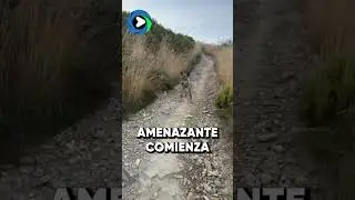 EL ATERRADOR MOMENTO EN EL QUE UN LOBO ACECHA A DOS PEREGRINOS DEL CAMINO DE SANTIAGO EN LE&Oacute;N