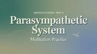 Overview of the Nervous System part 5 | Parasympathetic System & Meditation Practice