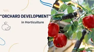 Planning & Development of Orchards | Horticulture Lecture