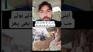 Insan sa bara zalim As donya ma koe nhe😕😟#Sad #animals #youtubeshorts #sadida
