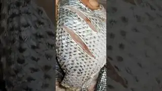 तलबिया मछली | Tilapia fish cooking #talapia #fishrecipe #nonveg #pleasurerecipes #shorts