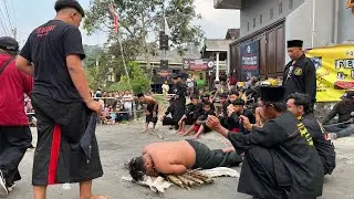 Banteng Pacet sedang live sekarang! Siliwangi Live Treceh