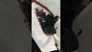 Chemical fire Bushcraft. Using potassium permanganate and glycerin to make fire! #bushcraft #fire