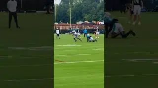 Okay Jimmy! 👀👀👀 #carolinapanthers #nfl #football #keeppounding