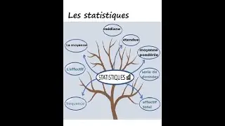 N°25 : Les statistiques Niv 3ème