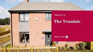 Taylor Wimpey - The Trusdale at Culm Valley Park