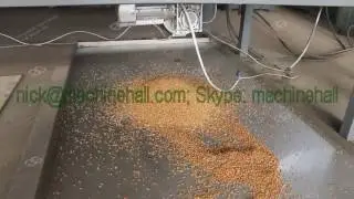 Continuous Roasting Machine For Nuts