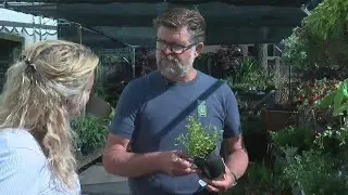 Get Inspired At Local Garden Boutiques