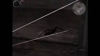 Ultimate spider simulator 2 | making atleast a few more tons of web (part 2)
