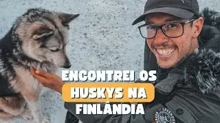 Rovaniemi Finlândia | Husky Park na Vila do Papai Noel - Husky Meet