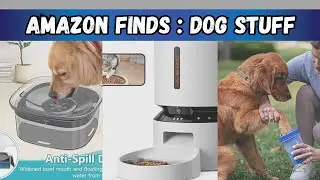 AMAZON MUST HAVES 2024 | Items You Didn't Know You Needed! (for your dog)