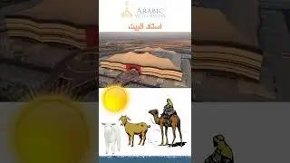 World Cup Arabic Facts 🏆⚽ #shorts #arabic #worldcup #worldcup2022 #learnarabic #arabiclessons