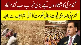 Why Pakistan's 2025 26 Wheat Support Price is a GAME CHANGER