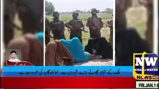 رحیم یار خان: کچے میں بڑا پولیس آپریشن، 40 سے زائد سہولت کار گرفتار، 33 ڈاکو سرنڈر