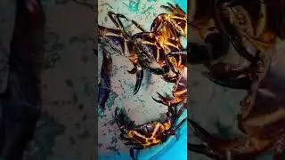 ಏಡಿ 🦀crab🤤black crab#seafood #villagelife #thombattu #shwetharun