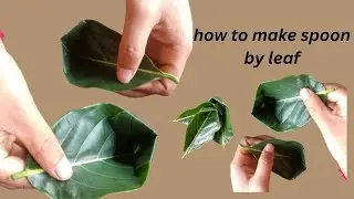 How To Make Spoon With Jackfruit Leaf | Jackfruit Leaf Spoon