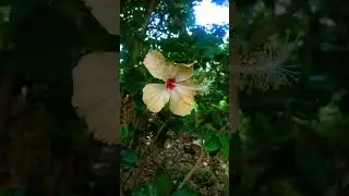back to nature🌿