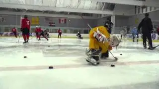 Growth of Goalie Coaches in the United States
