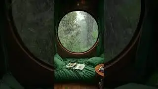 Subscribe for more #viralvideo #rain #dreamerelax #rainsounds #relax #dream #peace