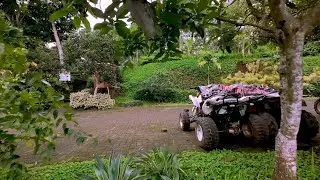 DJI O4 Air Unit Footage
