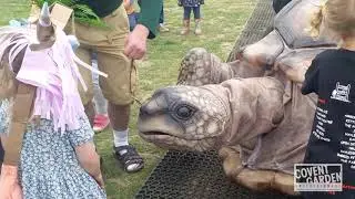 What the Tortoise Taught Us - Giant Interactive Walkabout Act
