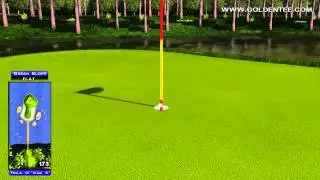 Golden Tee 2014 Great Shot on Pelican Grove!