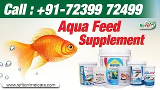 Aqua Feed Supplement For Fish, Shrimp, Prowns, & Aquatic Animals